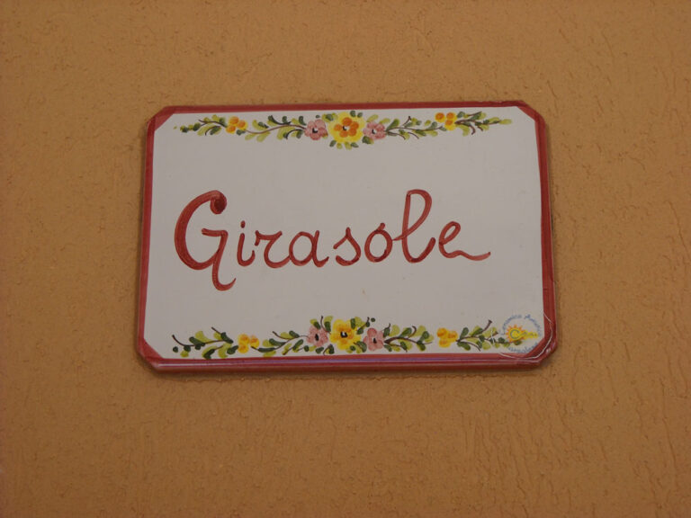 girasole1